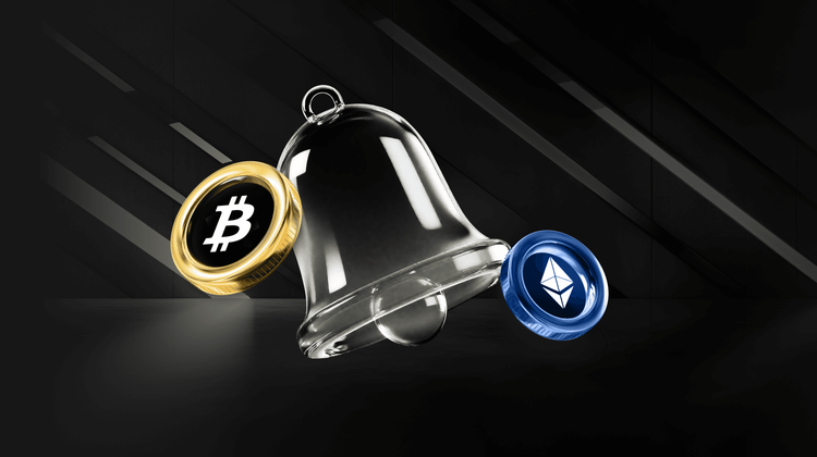 Musk Denies DOGE's Relationship with the US Government, Has Dogecoin Peaked?