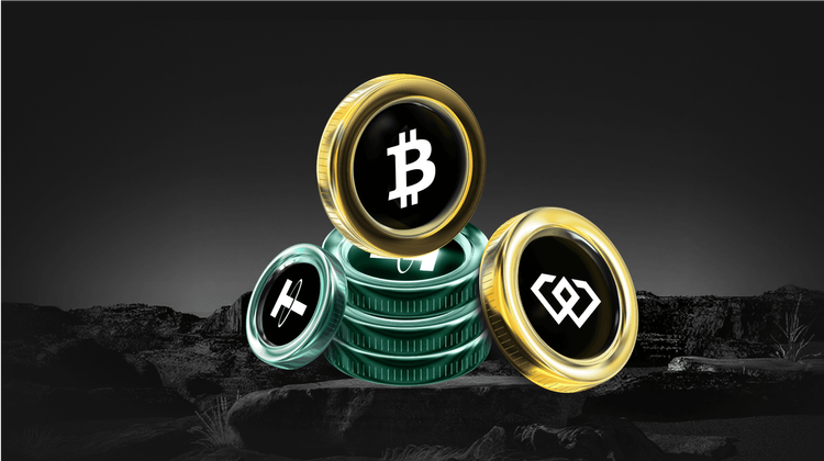 XDC/USDT Debuts on WEEX for XDC Network (XDC) Listing